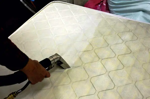 mattress steam cleaning melbourne florida